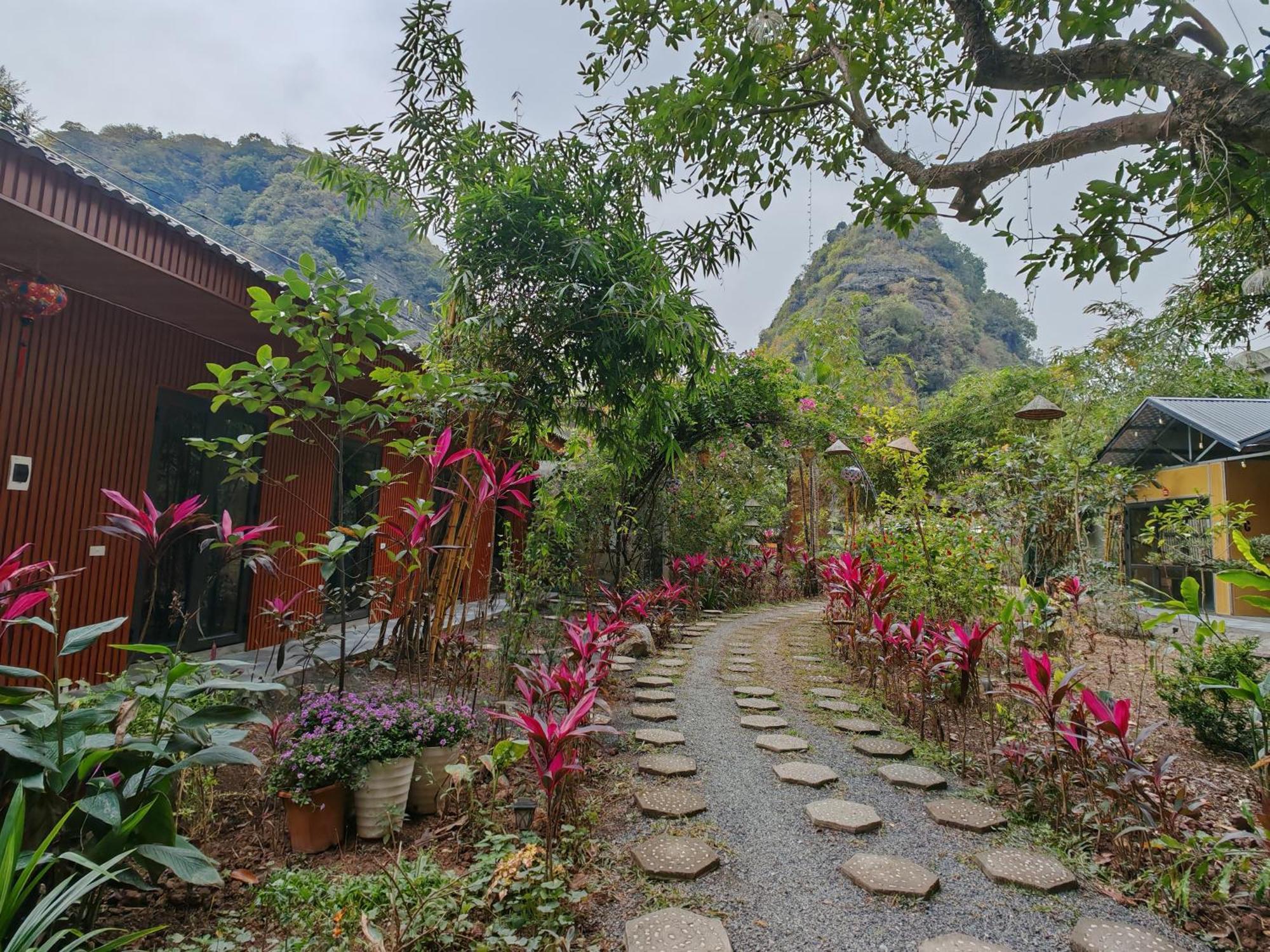 Green Valley Homestay - Thung Lung Xanh Nguyen Ngoai 外观 照片