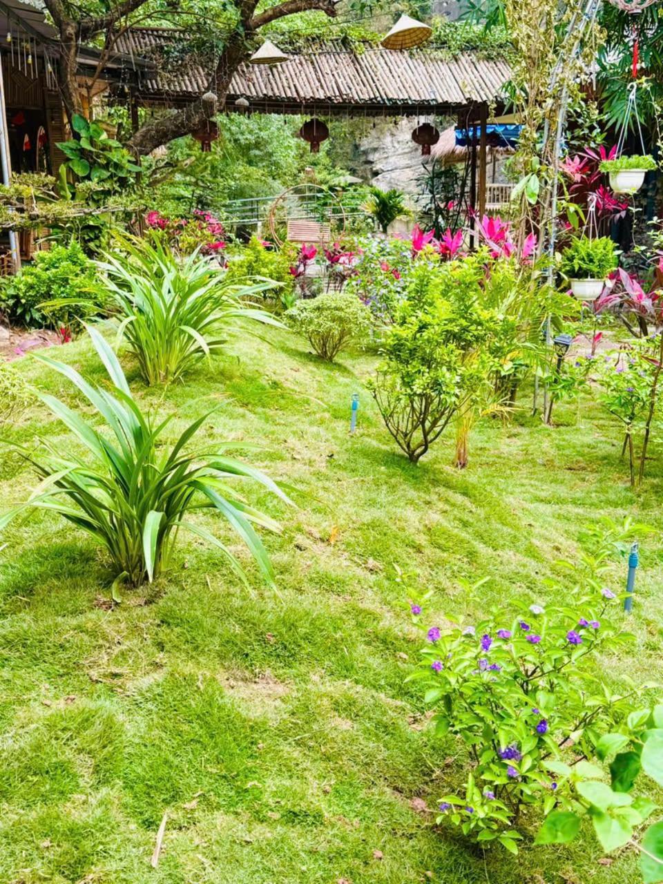 Green Valley Homestay - Thung Lung Xanh Nguyen Ngoai 外观 照片