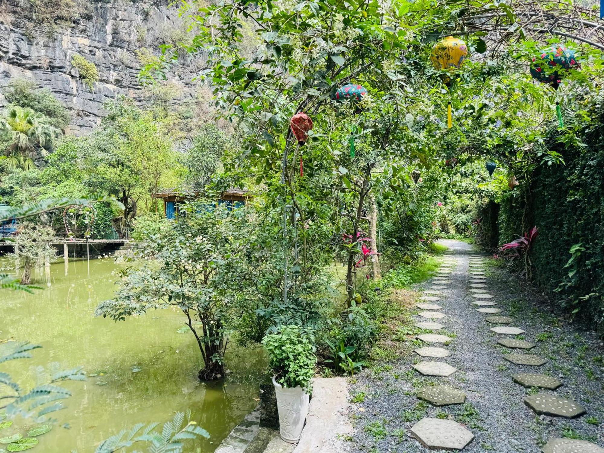 Green Valley Homestay - Thung Lung Xanh Nguyen Ngoai 外观 照片