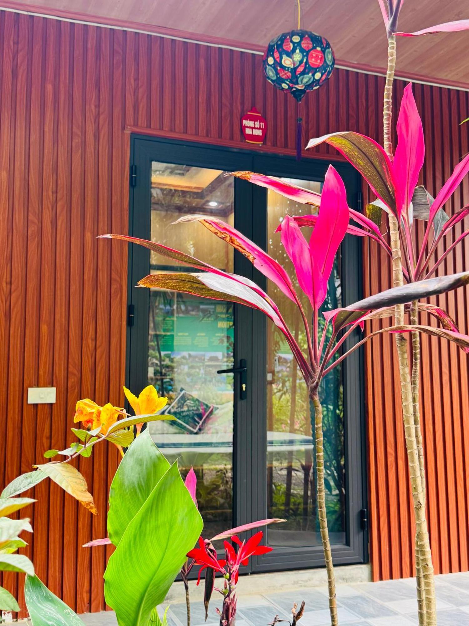 Green Valley Homestay - Thung Lung Xanh Nguyen Ngoai 外观 照片
